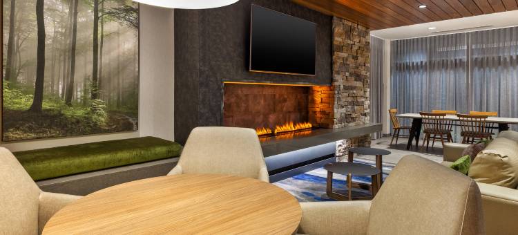 阿尔科诺克斯维尔机场万枫酒店及套房(Fairfield Inn & Suites Knoxville Airport Alcoa)图片