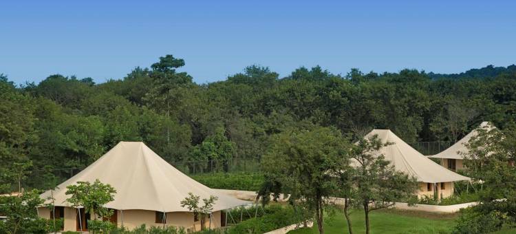 新昌迪加尔欧贝罗伊沙可维拉斯 SPA 度假村(The Oberoi Sukhvilas Spa Resort, New Chandigarh)图片