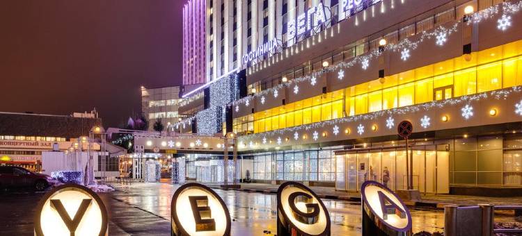 维嘉伊兹麦洛瓦酒店和会议中心(Vega Izmailovo Hotel)图片