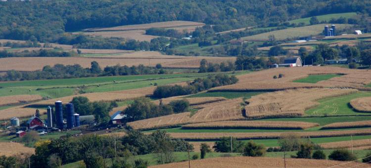 斯托克顿丽怡酒店(Country Inn & Suites by Radisson, Stockton, IL)图片
