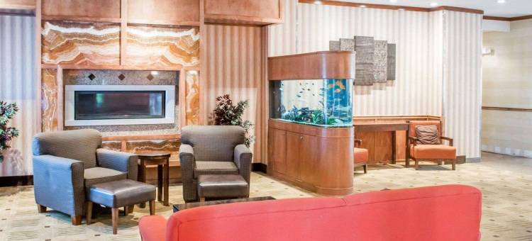 舒适套房酒店(Comfort Suites)图片