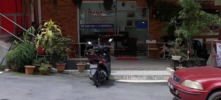 西特拉酒店(Hotel Citra)图片