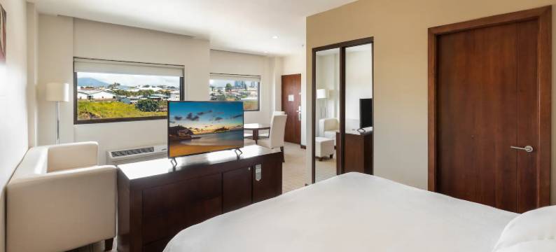 圣荷西埃斯卡苏温德姆酒店(Wyndham Garden San Jose Escazu)图片