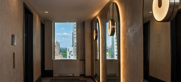 凯悦Thompson中央公园纽约(Thompson Central Park New York by Hyatt)图片