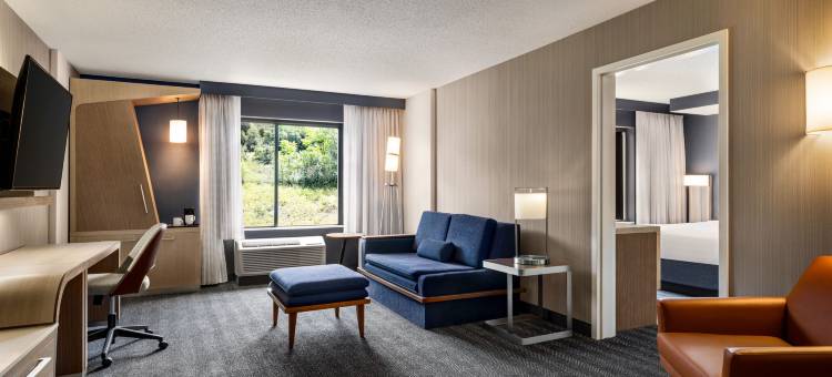 威尔克斯巴里竞技场万怡酒店(Courtyard Wilkes-Barre Arena)图片