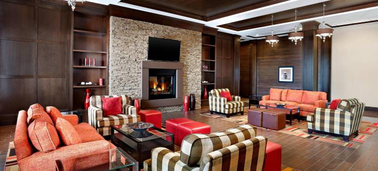 埃德蒙顿机场福朋喜来登酒店(Four Points by Sheraton Edmonton Gateway)图片