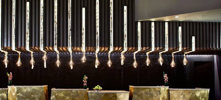 纳什维尔万丽酒店(Renaissance Nashville Hotel)图片