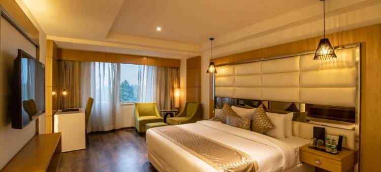 质朴酒店(The Pristine Hotel)图片