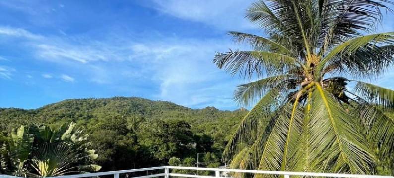 吉度假村(Gee Resort)图片