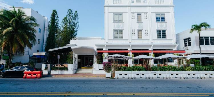 迈阿密海滩旅行者(Viajero Miami)图片