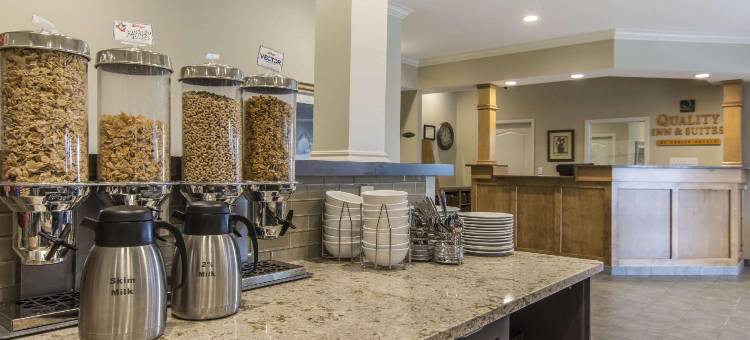 阿姆斯特丹凯艺套房酒店(Quality Inn & Suites Amsterdam)图片