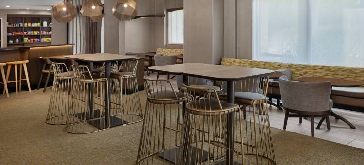 SpringHill Suites Lansing图片