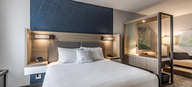 韦恩堡西南SpringHill Suites酒店(SpringHill Suites Fort Wayne Southwest)图片