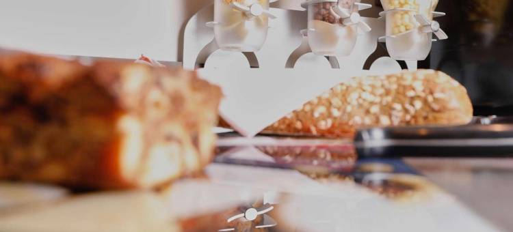 尚贝里布里特酒店(Brit Hotel Chambery)图片