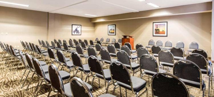 IAH布什机场-东舒适套房酒店(Comfort Inn & Suites IAH Bush Airport - East)图片