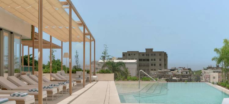 金普顿拉斯梅赛德斯酒店(Kimpton Las Mercedes)图片