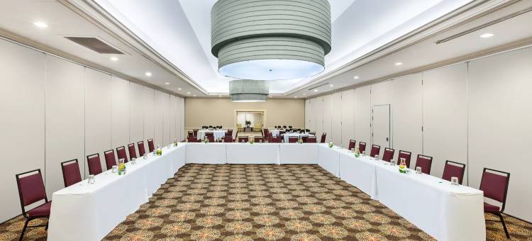 Holiday Inn 泰勒 - 南百老汇(Holiday Inn Tyler - Conference Center)图片