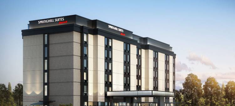 盖恩斯维尔干草市场SpringHill Suites酒店(SpringHill Suites Gainesville Haymarket)图片