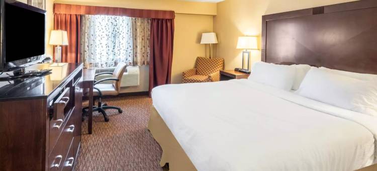 白峰酒店(White Peak Hotel)图片