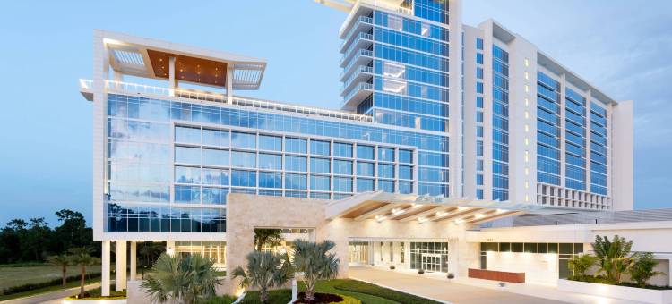 奥兰多邦内溪JW万豪水疗度假村(JW Marriott Orlando Bonnet Creek Resort & Spa)图片