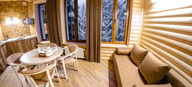 卡帕斯卡别墅(Karpatska Villa)图片