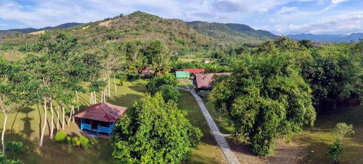 4 Pohon - les 4 Arbres图片