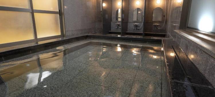 新盖亚酒店-饭冢(Hotel New Gaea Iizuka)图片