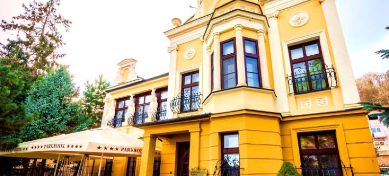 布尔诺公园酒店(Parkhotel Brno)图片