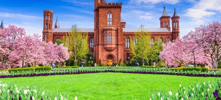 Crowne Plaza 杜勒斯机场(Crowne Plaza Dulles Airport)图片