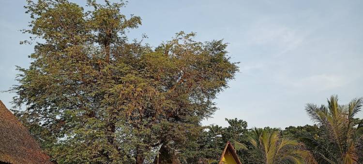 布纳尔图贾尔民宿(Penginapan Bunar Tunggal)图片