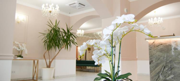 亚历山大彼得霍夫酒店(Aleksandriya-Peterhof Hotel)图片