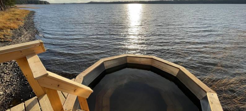 Cosmos Karelia图片