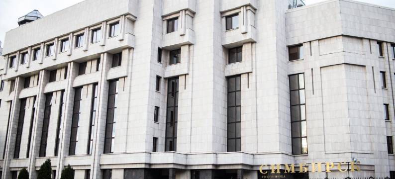 辛比克斯克酒店(Simbirsk Hotel)图片