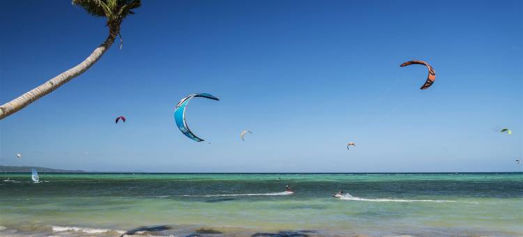 B布丁酒店(B Pod Hotel)图片