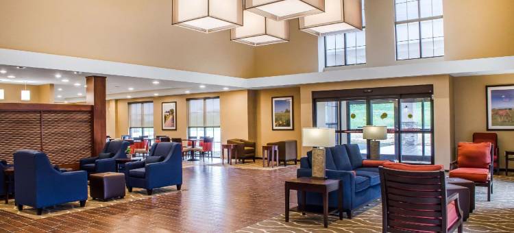 舒适套房酒店-曼海姆兰开斯特(Comfort Suites Manheim - Lancaster)图片