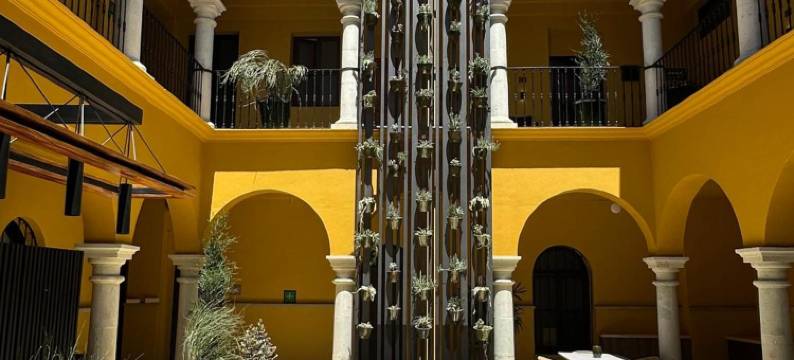 瑟纳帕蒂奥斯酒店(Hotel Casona Oaxaca)图片