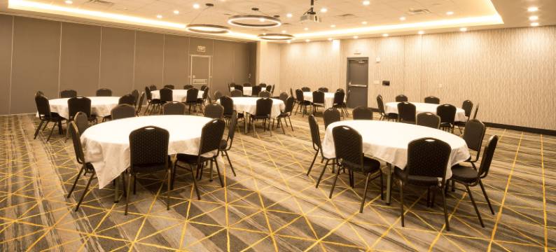 卡拉马祖西假日酒店(Holiday Inn & Suites KALAMAZOO WEST by IHG)图片