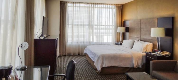 墨西哥城圣达菲假日酒店(Holiday Inn Mexico Santa Fe)图片