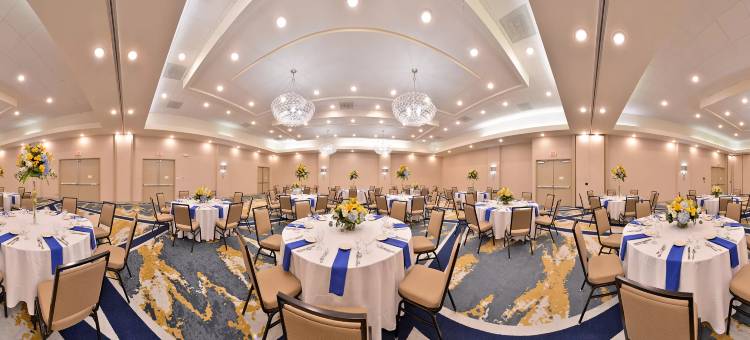 丽笙圣路易斯市中心城南新区会展中心酒店(Radisson Hotel St Louis Downtown Convention Center)图片