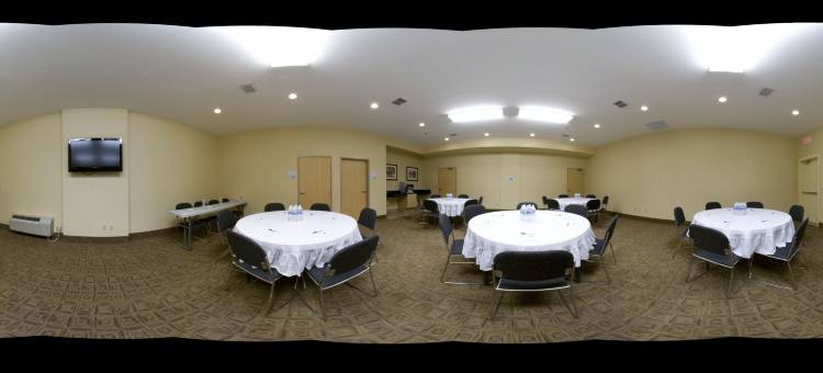 智选假日套房酒店博格 by IHG(Holiday Inn Express & Suites Borger)图片