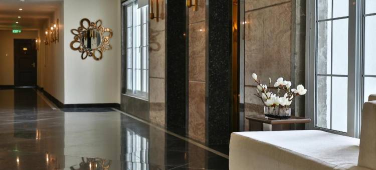 阿科德铬(Accord Chrome)图片