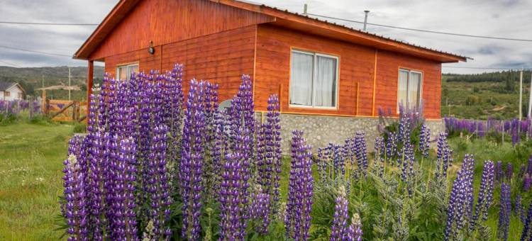 Piuke Mapu Patagonia Hostel图片