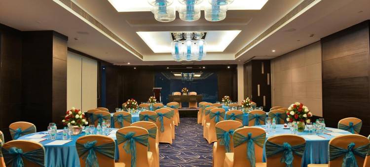 新德里 IP 扩展区丽柏酒店(Park Inn by Radisson New Delhi IP Extension)图片