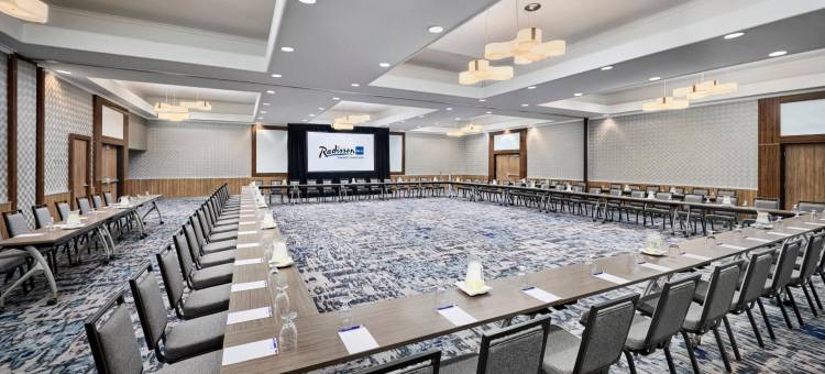 多伦多市中心丽笙酒店(Radisson Blu Toronto Downtown)图片