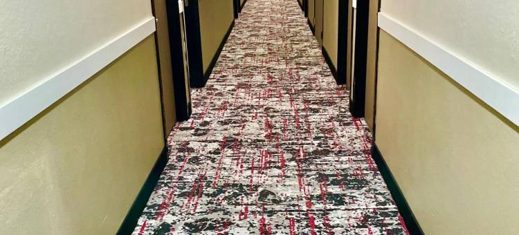 卡特斯维尔伊克诺旅馆(Econo Lodge Cartersville-Emerson Lake Point)图片