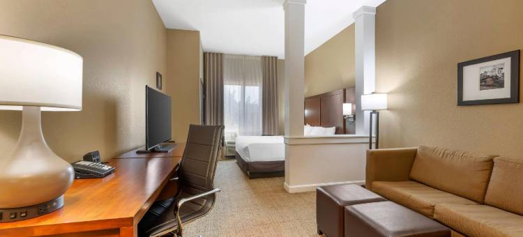 西奥马哈舒适套房酒店(Comfort Suites West Omaha)图片
