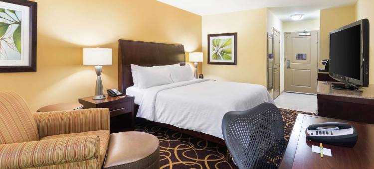 什里夫波特伯锡尔城希尔顿花园酒店(Hilton Garden Inn Shreveport / Bossier City)图片