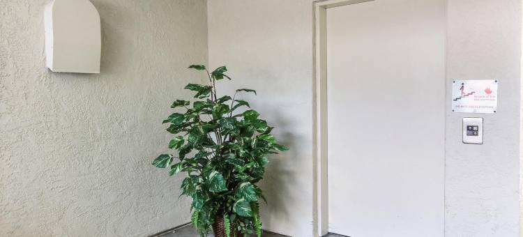 沃森维尔6号汽车旅馆 - 蒙特利区(Motel 6 Watsonville, CA - Monterey Area)图片