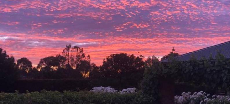 拉贝拉维塔酒店(La Bella Vita)图片