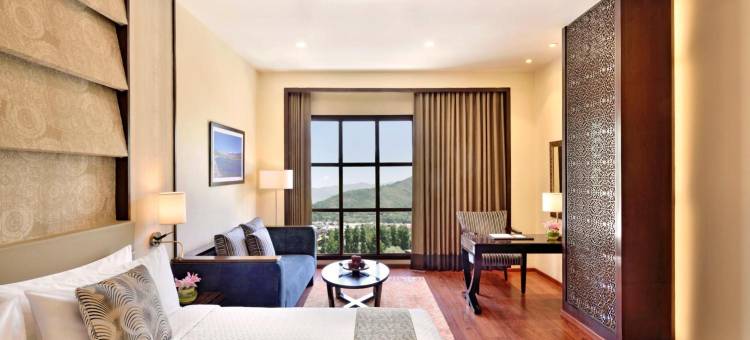 斯里纳格福朋喜来登酒店(Four Points by Sheraton Srinagar)图片